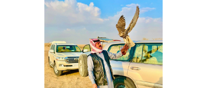 البادية.. متعة وأسرار الشاهين.. ملك السماء وكنز الصكّارة