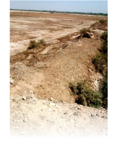 (البحيرة المُرّة) في كربلاء من جنائن طبيعية إلى مكبّ للنفايات وأحياء عشوائية