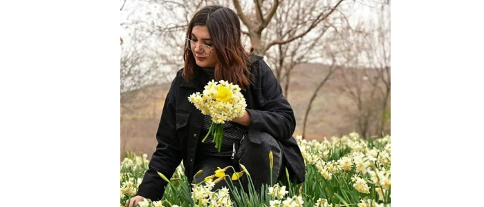 ألوانٌ زاهية وعطرٌ فوّاح  النرجسُ.. سيدة الأزهار