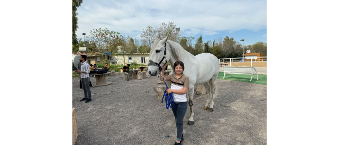 حظيت بتكريم محلي وعربي الطفلة لانيا.. أصغر فارسة تحرز بطولة العراق في سباق الخيل