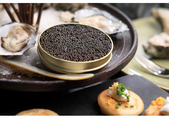 الكـــافيار.. اللؤلؤ الأسود
