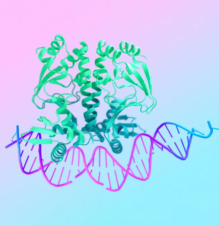أثر الذكاء الاصطناعي في الطب والأدوية.. والعلاقات العاطفية