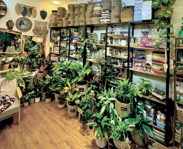 شهد ومحمود من محل صغير لتنسيق الزهور  إلى متجر لبيع النباتات