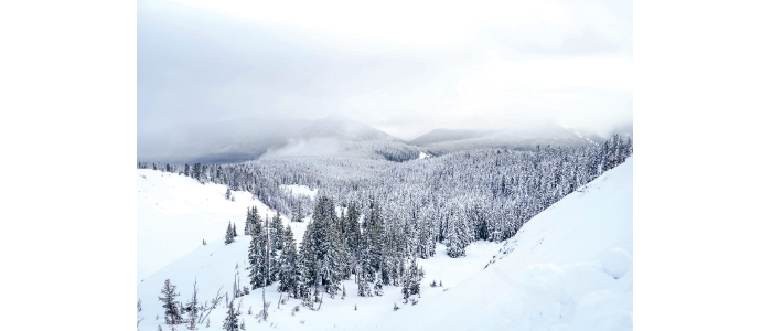 الشتاء ورحلة التاريخ.. بين الخوف واللجوء