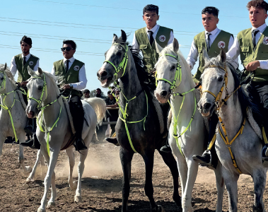مهرجان الحلة للخيول العربية.. احتفاء بالأصالة وتأكيد على الهوية