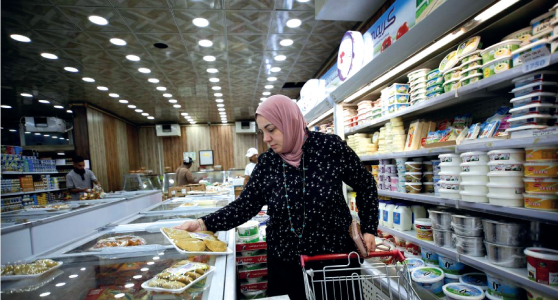 توظيف النمط المستدام لحماية  المستهلك والبيئة في العراق