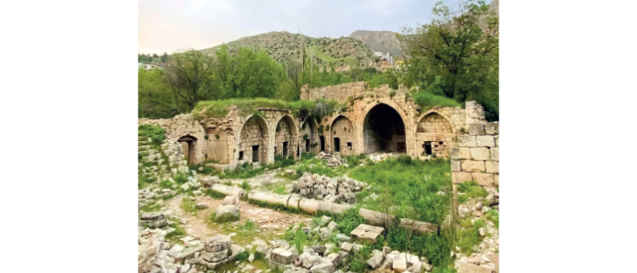 بدعم دولي.. (قبهان) تعود إلى الحياة