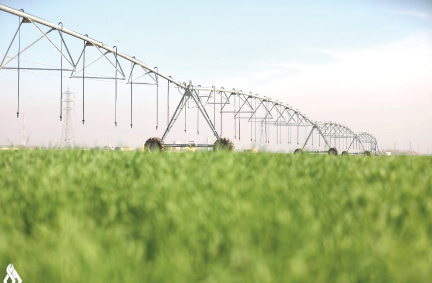 دفعة أمل جديدة .. الحكومة تراهن على (ريادة)..  خريطة جديدة لدعم المشاريع الصغيرة