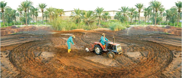 نساء ينقذن الأرض.. قصص عراقية تلهم العالم في مواجهة التغير المناخي