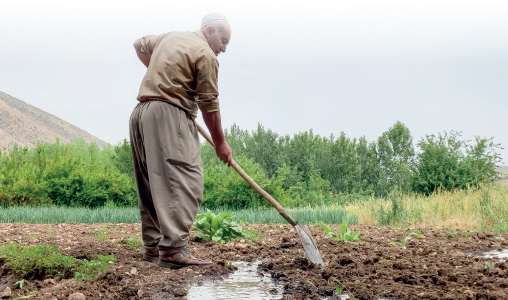 استثمار في مياه الصرف الصحي أربيل تطلق مشروعًا بيئيًا لإعادة التدوير الزراعي